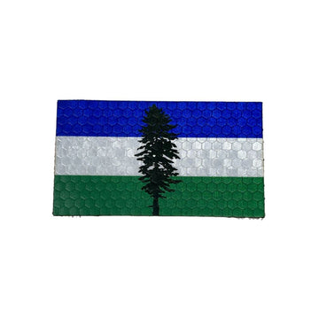 Cascadia Flag - Hi Vis HiViz Patch PatchPanel